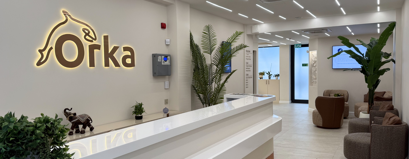 Orka Dental